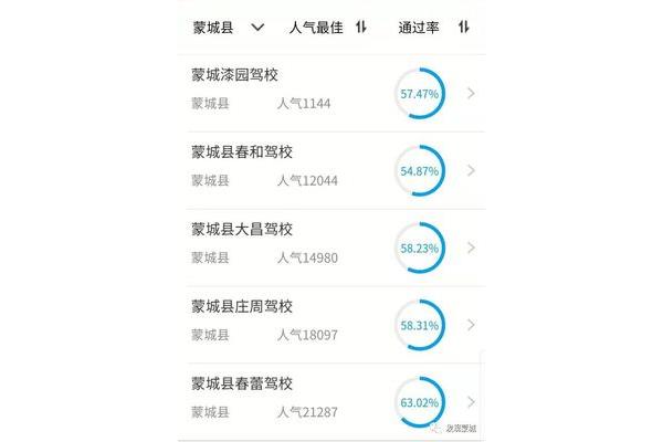 科目一通过率