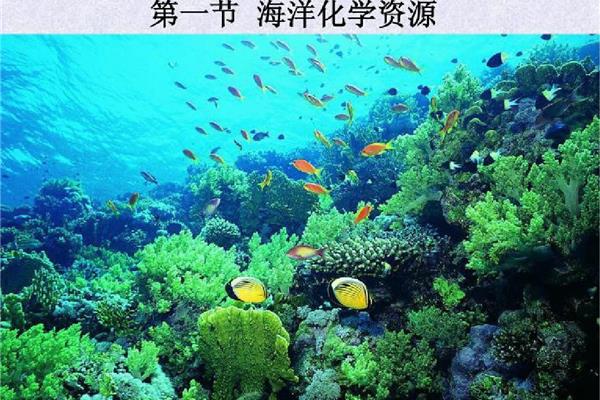 海洋化学资源