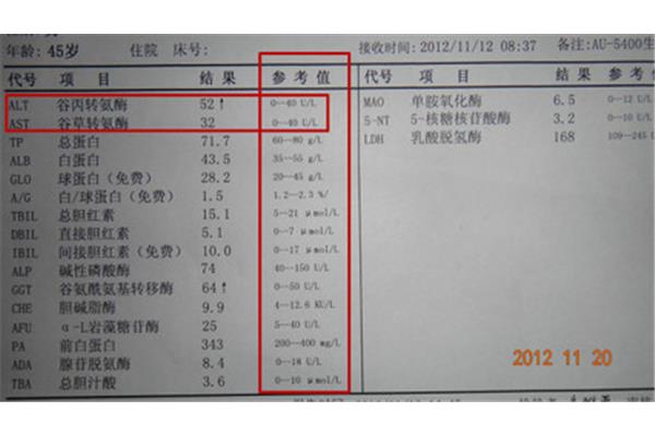 谷丙转氨酶低