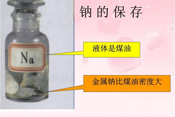 金属钠保存在哪里