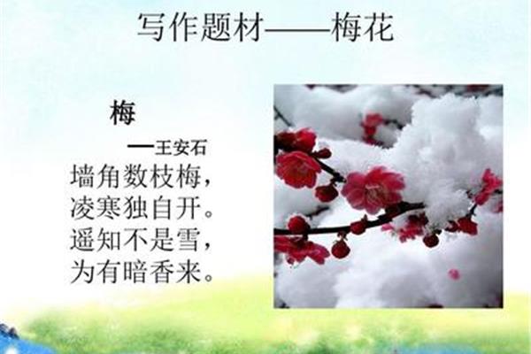 借物喻人的古诗