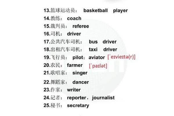 职业的单词