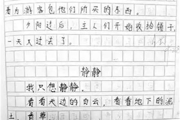 周记六年级