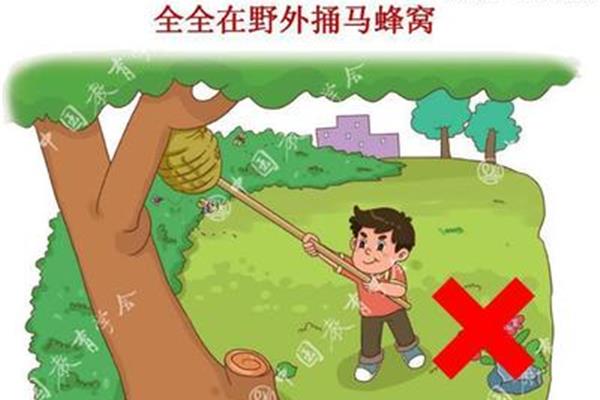 幼儿安全教育教案
