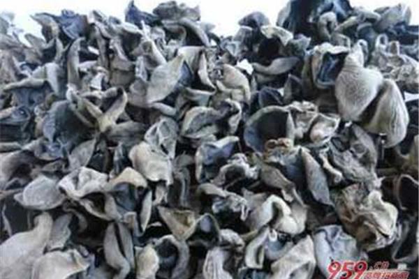 农村做什么生意好