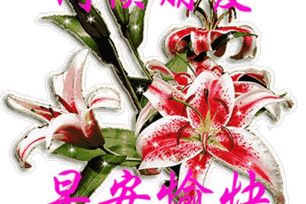 动态祝福图片大全