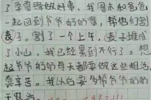 我的好老师作文