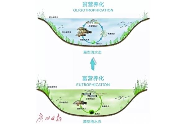 水生生态系统