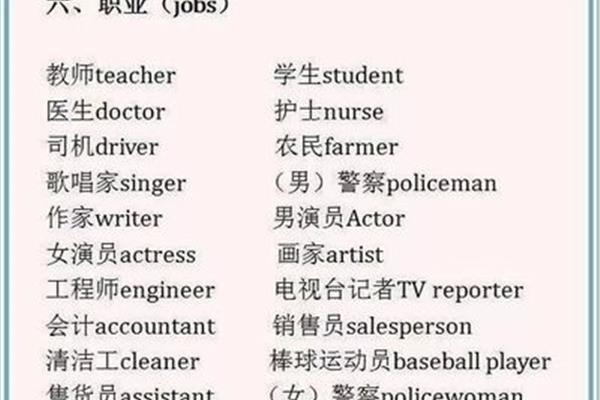 职业的单词