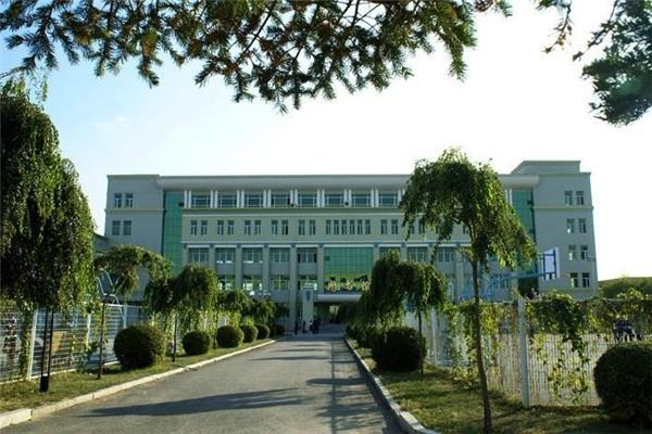 大连国际学校