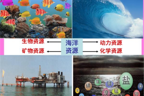海洋化学资源