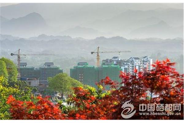 中国硒都网