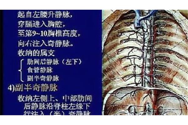 奇静脉注入