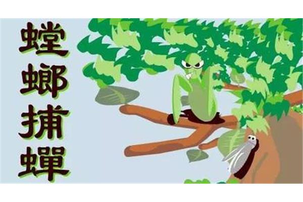 螳螂捕蝉的故事