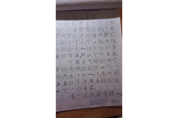 期中考试日记