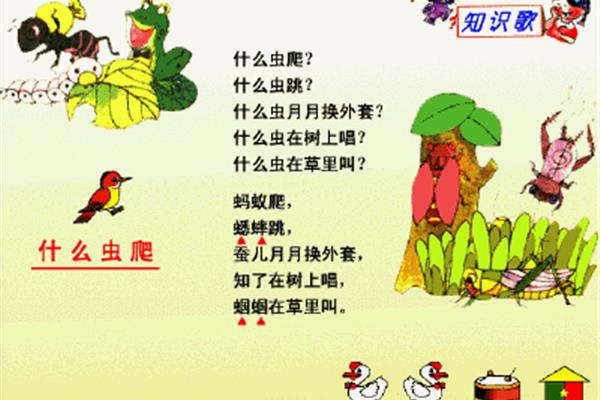 什么的歌谣