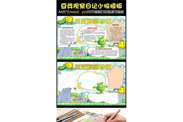 黄豆芽的生长过程