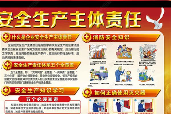 主体责任是什么