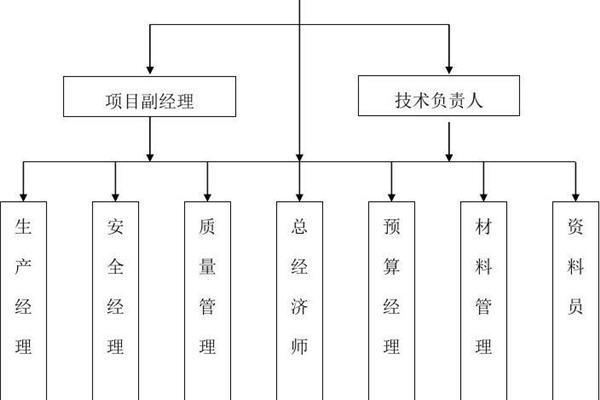 项目组织机构
