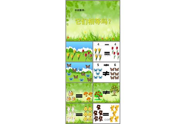 中班数学活动