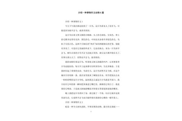 雪作文500字