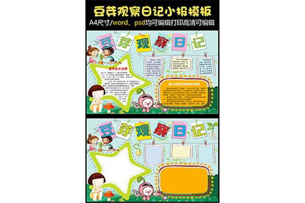 黄豆芽的生长过程
