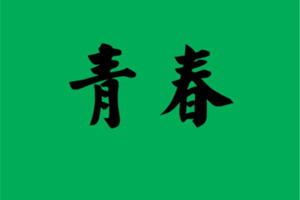青春近义词