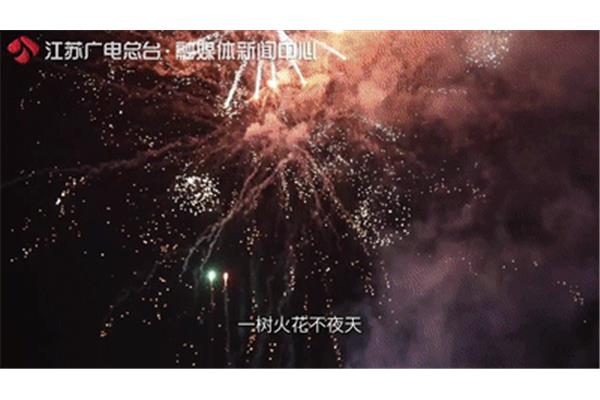 更吹落星如雨