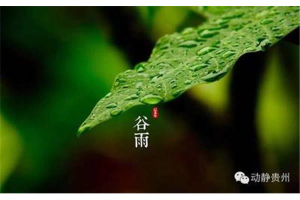 谷雨的著名诗句