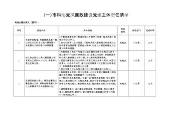 主体责任是什么