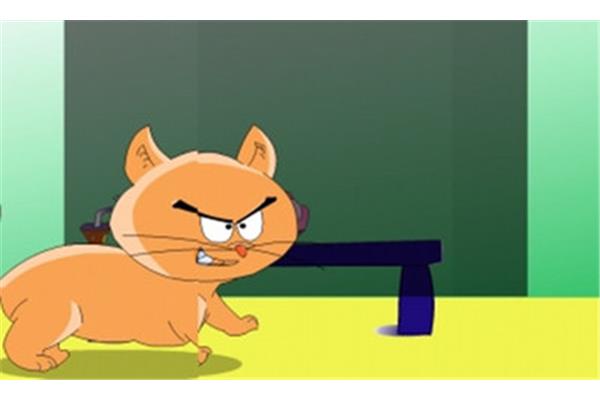 猫抓老鼠的故事