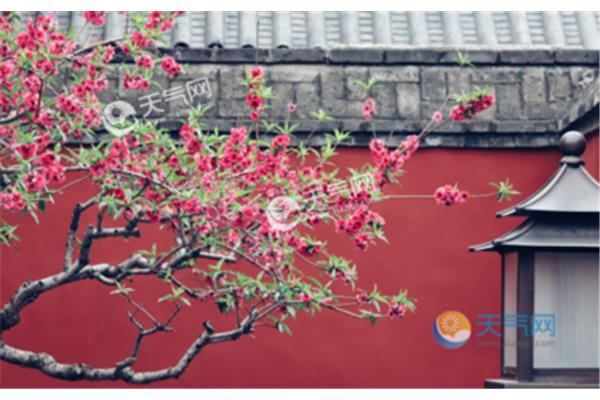 谷雨的著名诗句
