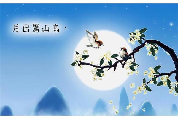鸟鸣涧的意思