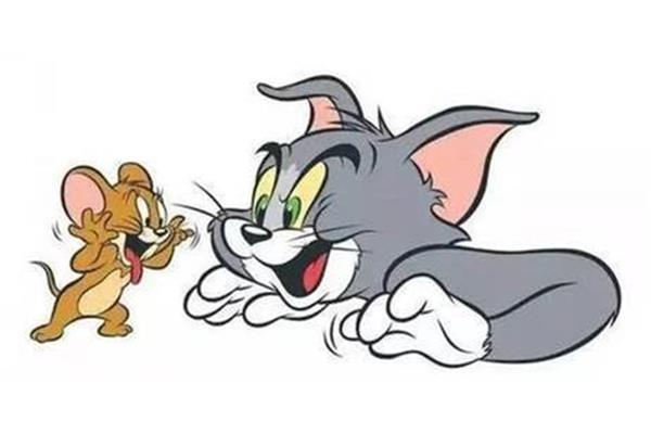 猫抓老鼠的故事