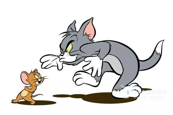 猫抓老鼠的故事