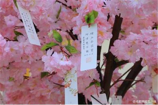 带有桃花的诗句
