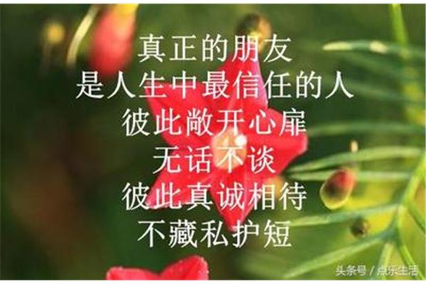 真诚是什么意思
