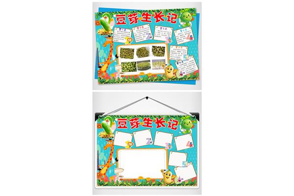 黄豆芽的生长过程