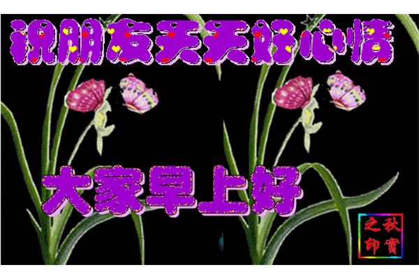 每日祝福短信