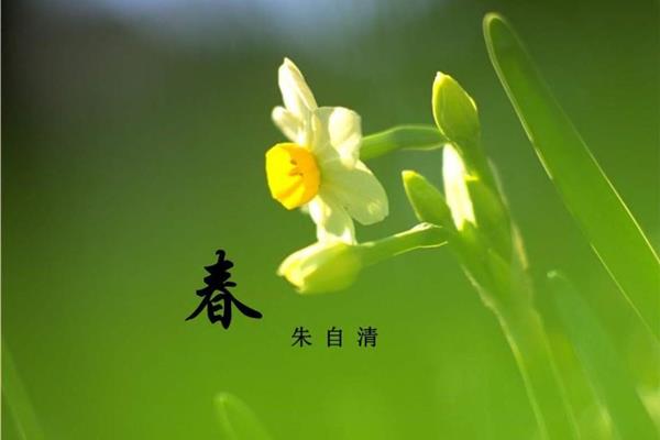 春风的特点