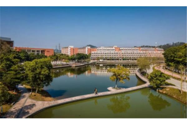 华南理工大学学费
