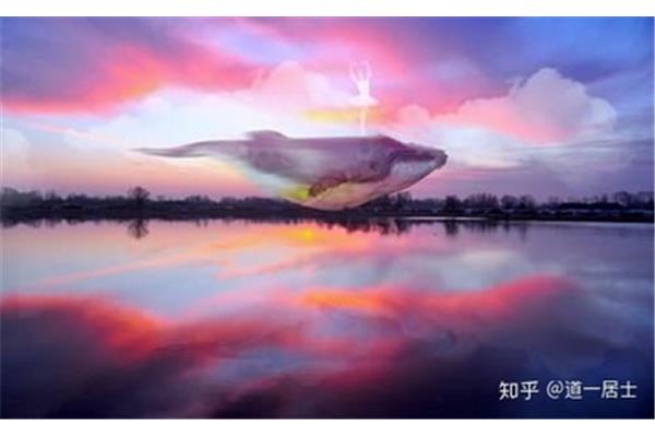 天之苍苍的之