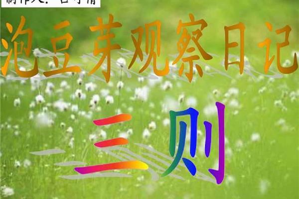 种豆芽观察日记