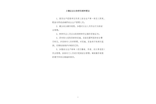 主体责任是什么