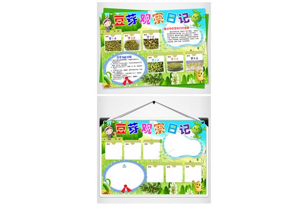 黄豆芽的生长过程