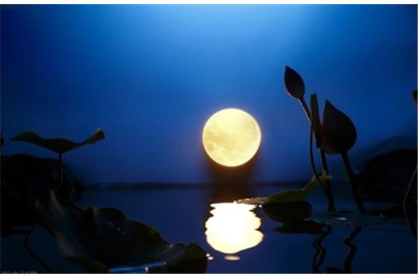 中秋节农历