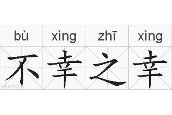 不幸的反义词