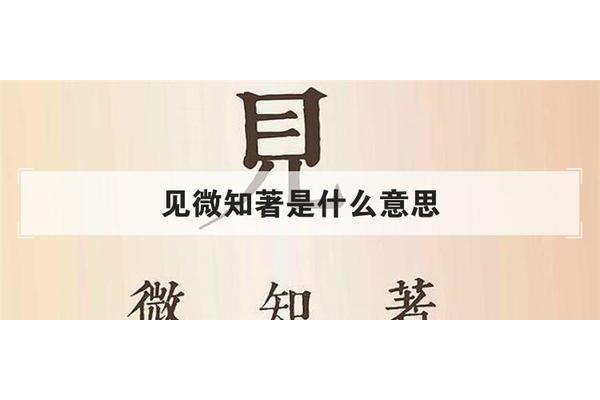 见微知著意思