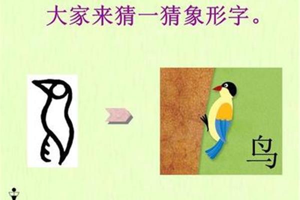 鸟的象形字