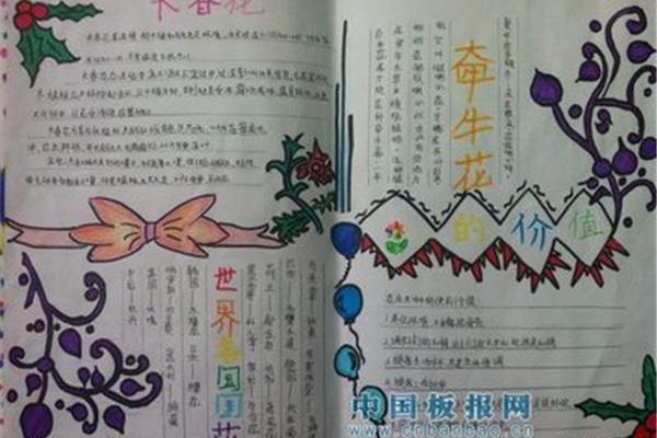 花的手抄报
